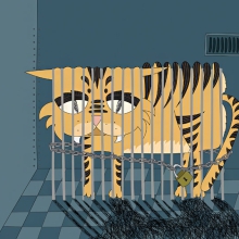 Aurora-4-Poor Caged Tiger