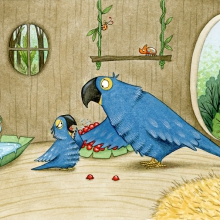 Paula Parrot - Parrot and Coughing Chick
