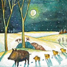 Winter-Wild Boars