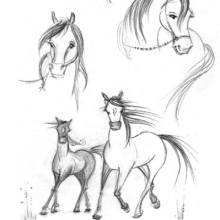 Pony Sketches-